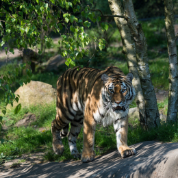 Hamburg_20160507_719