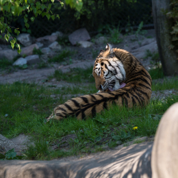 Hamburg_20160507_785