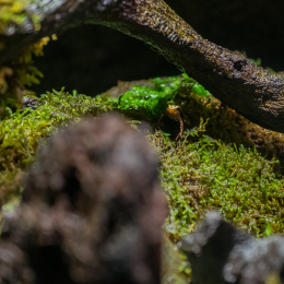 Hamburg_20160507_338