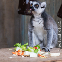 Hamburg_20160507_282