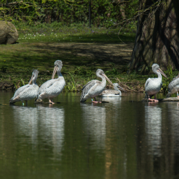 Hamburg_20160507_469