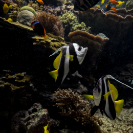 Hamburg_20160507_348