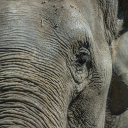 Hamburg_20160507_412