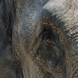 Hamburg_20160507_437