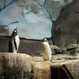 Hamburg_20160507_699