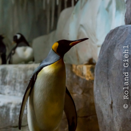 Hamburg_20160507_681