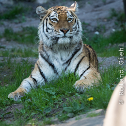 Hamburg_20160507_796