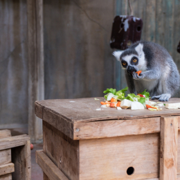 Hamburg_20160507_279