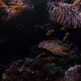 Hamburg_20160507_385