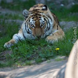 Hamburg_20160507_793