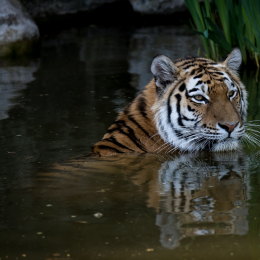 Hamburg_20160507_777