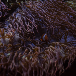 Hamburg_20160507_380