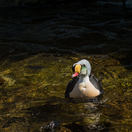 Hamburg_20160507_674