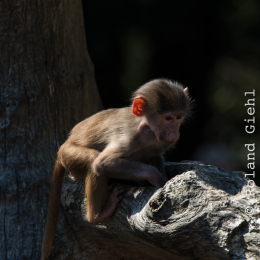 Hamburg_20160507_515