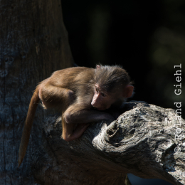 Hamburg_20160507_513