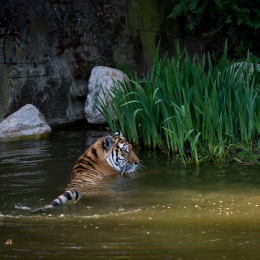 Hamburg_20160507_766