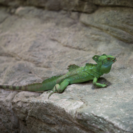 Hamburg_20160507_307