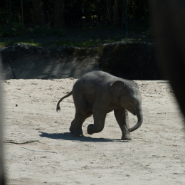 Hamburg_20160507_411