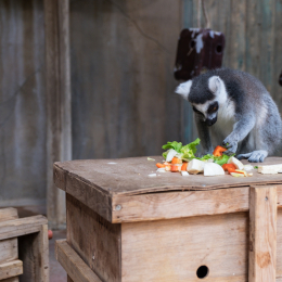 Hamburg_20160507_277