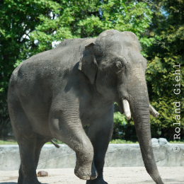 Hamburg_20160507_457