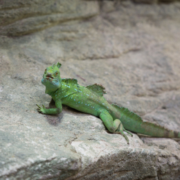 Hamburg_20160507_312