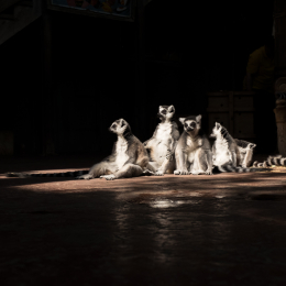 Hamburg_20160507_290