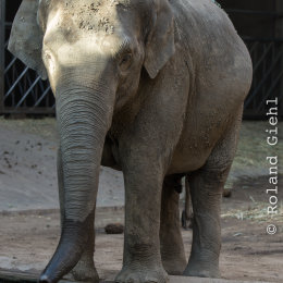Hamburg_20160507_856