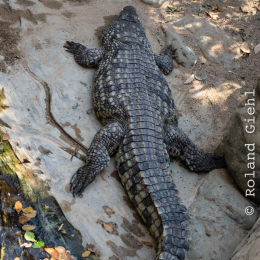 Hamburg_20160507_332