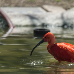 Hamburg_20160507_583