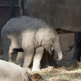 Hamburg_20160507_859