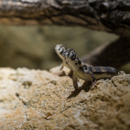Hamburg_20160507_334