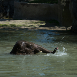 Hamburg_20160507_405
