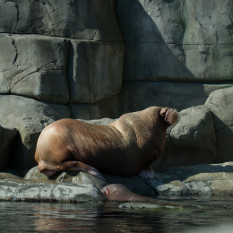 Hamburg_20160507_651
