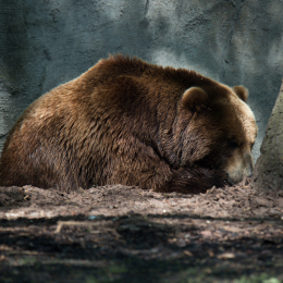 Hamburg_20160507_579
