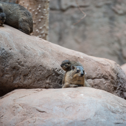 Hamburg_20160507_320