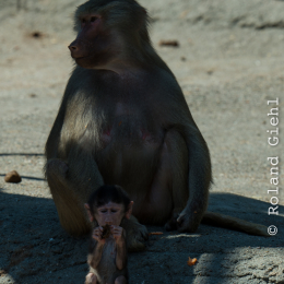 Hamburg_20160507_527