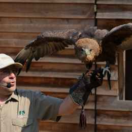 Zoo Koeln_2011-04-24_42