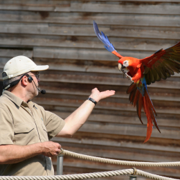 Zoo Koeln_2011-04-24_61
