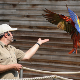 Zoo Koeln_2011-04-24_60