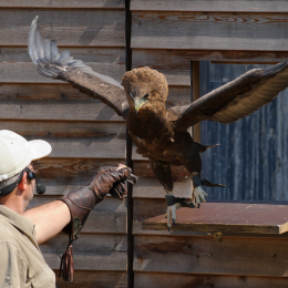 Zoo Koeln_2011-04-24_40