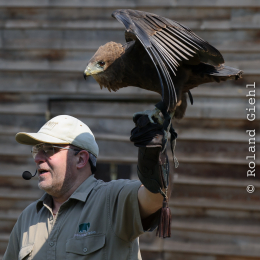Zoo Koeln_2011-04-24_45