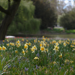 Zoo_Karlsruhe_20120408-023