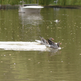 Zoo_Karlsruhe_20120408-043