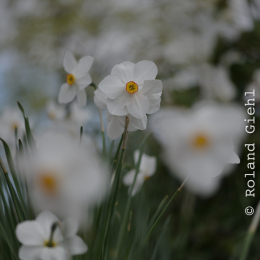 Zoo_Karlsruhe_20120408-027
