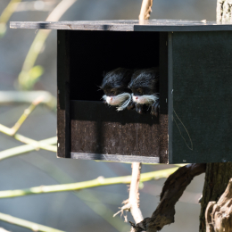 Zoo_Leipzig_20160625_002