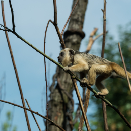 Zoo_Leipzig_20160625_001