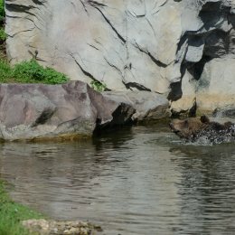 zoom_gelsenkirchen_2011-09-10_14