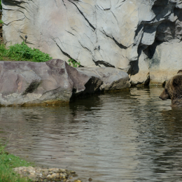 zoom_gelsenkirchen_2011-09-10_12