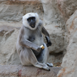 zoom_gelsenkirchen_2011-09-10_72