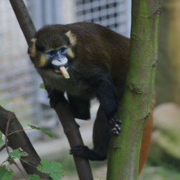 zoom_gelsenkirchen_2011-09-10_59